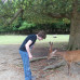 Photo of KIIS: Traveling - Experience Japan (Summer)