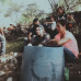 Photo of Universidad Veracruzana: Xalapa - Direct Enrollment & Exchange