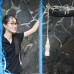 Photo of Broadreach: Bali - Veterinary Medicine College