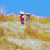 Photo of International Service Learning (ISL): Traveling - Service Programs in Dominican