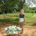 Photo of Good Hope Volunteers: Volunteer in South Africa & Namibia