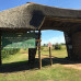 Photo of WMU: Exploring Health and Healthcare Systems in South Africa (Faculty-led)