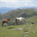 Photo of WMU: Universidad de Cantabria Undergraduate Program (Faculty-led)