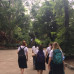 Photo of CISabroad (Center for International Studies): Chiang Mai - Summer in Thailand