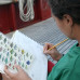 Photo of Sea Education Association: Caribbean Reef Expedition