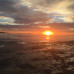 Photo of CISabroad (Center for International Studies): Newcastle - Semester in Newcastle