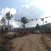 Photo of The School for Field Studies / SFS: Bhutan - Bhutan - Himalayan Studies