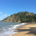 Photo of The School for Field Studies / SFS: Australia – Rainforest studies