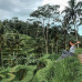 Photo of World Endeavors: Volunteer in Indonesia
