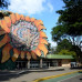 Photo of WSU Faculty-Led Costa Rica: Animal Production Systems in the World