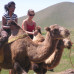 Photo of ProjectsAbroad: Mongolia - Volunteer and Community Service Programs in Mongolia