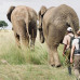 Photo of Conservation Travel Africa: Zimbabwe - Community Development and Conservation Management Volunteer Programs