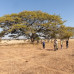 Photo of Conservation Travel Africa: Zimbabwe - Nature Enthusiast Course