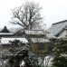 Photo of Middlebury Schools Abroad: Middlebury in Tokyo