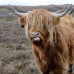 Photo of University of the Highlands and Islands: Highland Theological - Direct Enrollment & Exchange