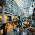Photo of Beyond Academy: Internships in Toronto