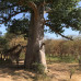 Photo of University of Minnesota: Senegal - MSID - International Development in Senegal