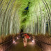 Photo of IPSL Global Engagement in Japan: Japanese Language and Culture