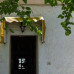 Photo of CYA (College Year in Athens) - Semester/Academic Year Program