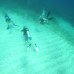 Photo of GVI: Ambergris Caye - Belize Marine Conservation Expedition