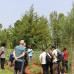 Photo of Cerca Abroad: Greece - Psychology Internship