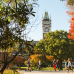Photo of University of Otago, New Zealand: Study Abroad Programme