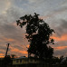 Photo of SIT Study Abroad: Samoa - Social and Environmental Change in Oceania