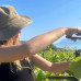 Photo of Cerca Abroad: Greece – Agriculture & Viticulture Internship