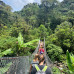 Photo of The School for Field Studies / SFS: Panama - Tropical Island Biodiversity Studies