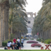 Photo of Study Abroad in Egypt at the American University in Cairo