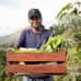 Photo of IPSL Global Engagement in Brazil: Permaculture, Sustainability, and Bioconstruction