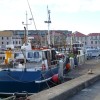 A student studying abroad with Direct Enrollment: Hobart - University of Tasmania