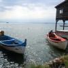 A student studying abroad with Berea College: Thessaloniki - Agriculture and Food of Greece: Local to Global