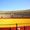 A student studying abroad with Tufts Programs Abroad: Tufts in Madrid