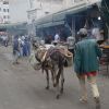 A student studying abroad with University of Minnesota: Fez - Arabic Language and Culture in Morocco