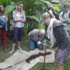 A student studying abroad with Institute for Central American Development Studies (ICADS): San José - Social Justice and Development Internship