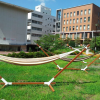 A student studying abroad with J. F. Oberlin University: Tokyo - Reconnaissance Japan Program