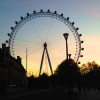 A student studying abroad with EUSA: London - Academic Internship Programs