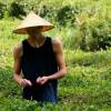 A student studying abroad with Guizhou Forerunner College: Direct Enrollment & Exchange