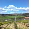 A student studying abroad with Athena Study Abroad: Florence - Lorenzo de Medici