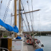 A student studying abroad with SEA Semester: Programs at Sea – Historic Seaports of Western Europe ( Summer )