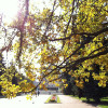 A student studying abroad with American Councils (ACTR): Russian Heritage Speakers Program