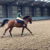 A student studying abroad with Adelante: Edinburgh - Equine Summer Program in Scotland