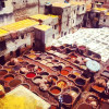 A student studying abroad with IES Abroad: Rabat - IES Abroad Center Rabat