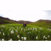 A student studying abroad with The GREEN Program: Iceland - Sustainability and Renewable Energy Abroad