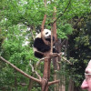 A student studying abroad with Study Abroad Programs in China