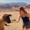 A student studying abroad with IES Abroad: Buenos Aires - Study Abroad With IES Abroad