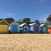 A student studying abroad with IFSA-Butler: Melbourne - University of Melbourne
