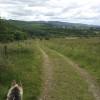A student studying abroad with Study Abroad Programs in Ireland