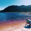 A student studying abroad with IES Abroad: Cape Town - University of Cape Town